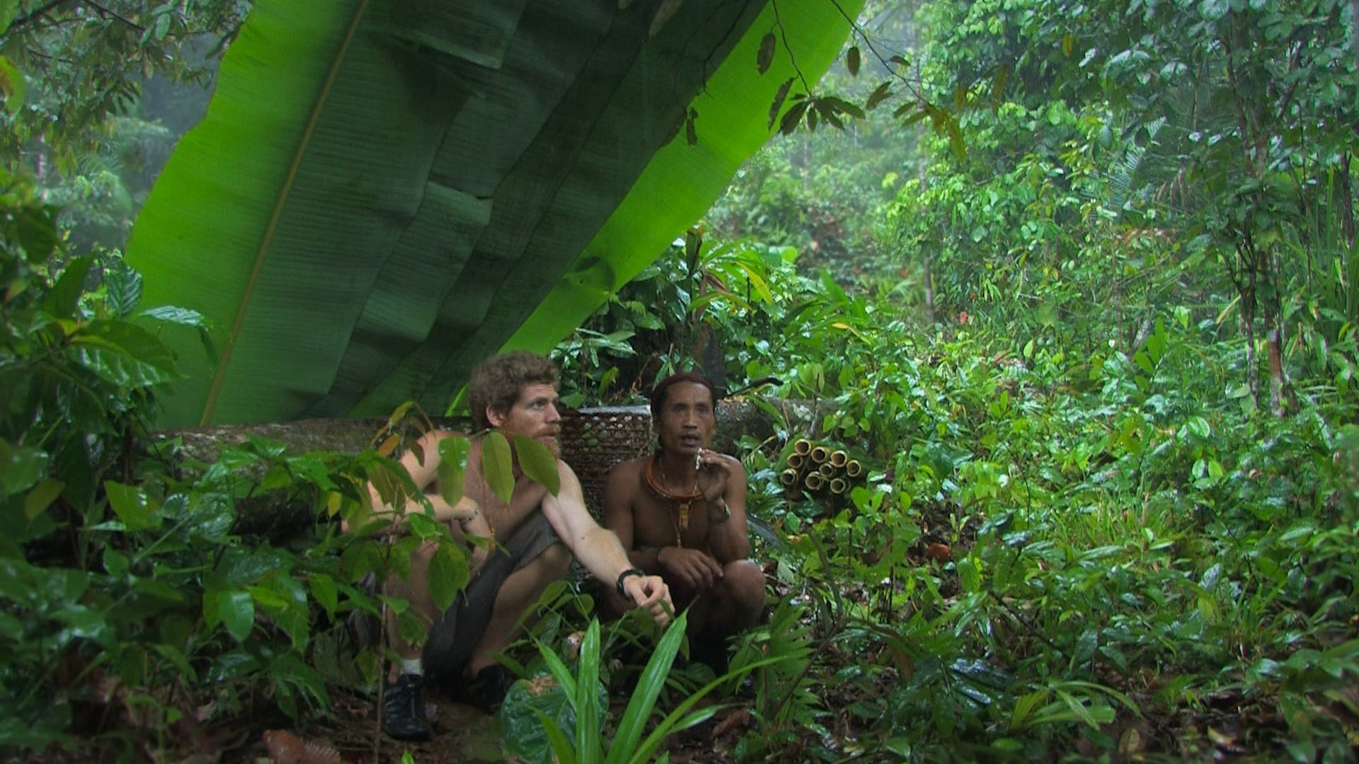 Aman Paks and the Filmmaker leaf shelter